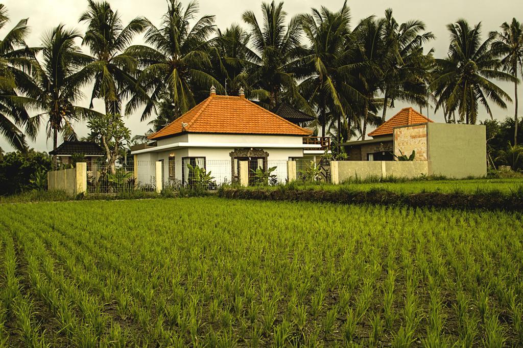 Ubud Lestari Villa Экстерьер фото